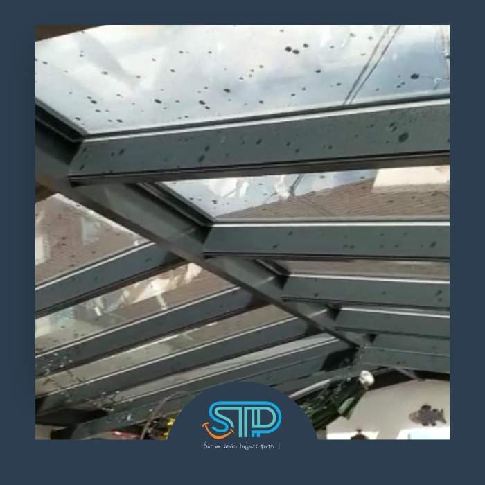 Nettoyage de toit vitré Strasbourg